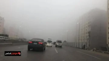 الشبورة الكثيفة في القاهرة ترفع درجة الحرارة إلى 34 وتثير مخاوف على السلامة صباحًا